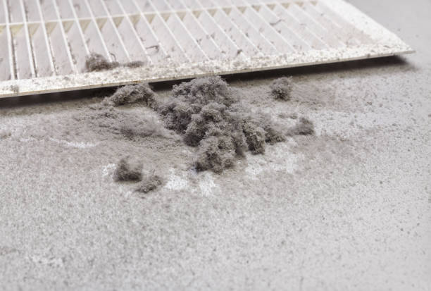 Best Commercial Air Duct Cleaning  in Delhi Hills, OH