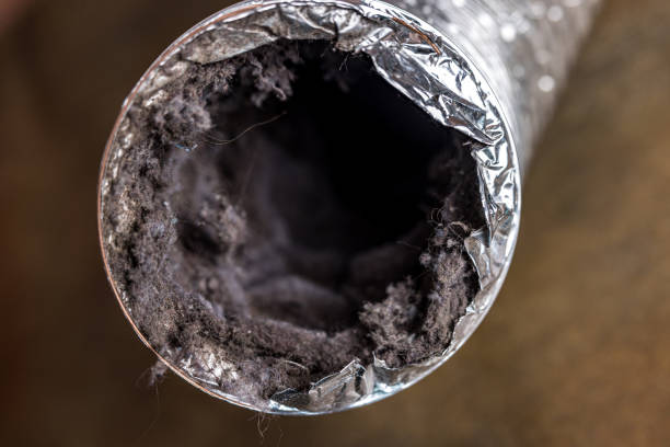 Best Home Air Vent Cleaning  in Delhi Hills, OH