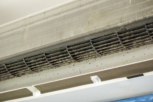 Best Duct Cleaning for Homes  in Delhi Hills, OH